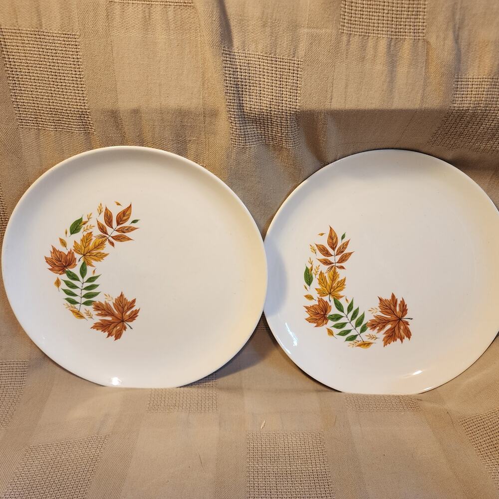 Lot of 2 Vintage Salem Autumn Leaves Salad Plates 10" Plates, Oven Proof